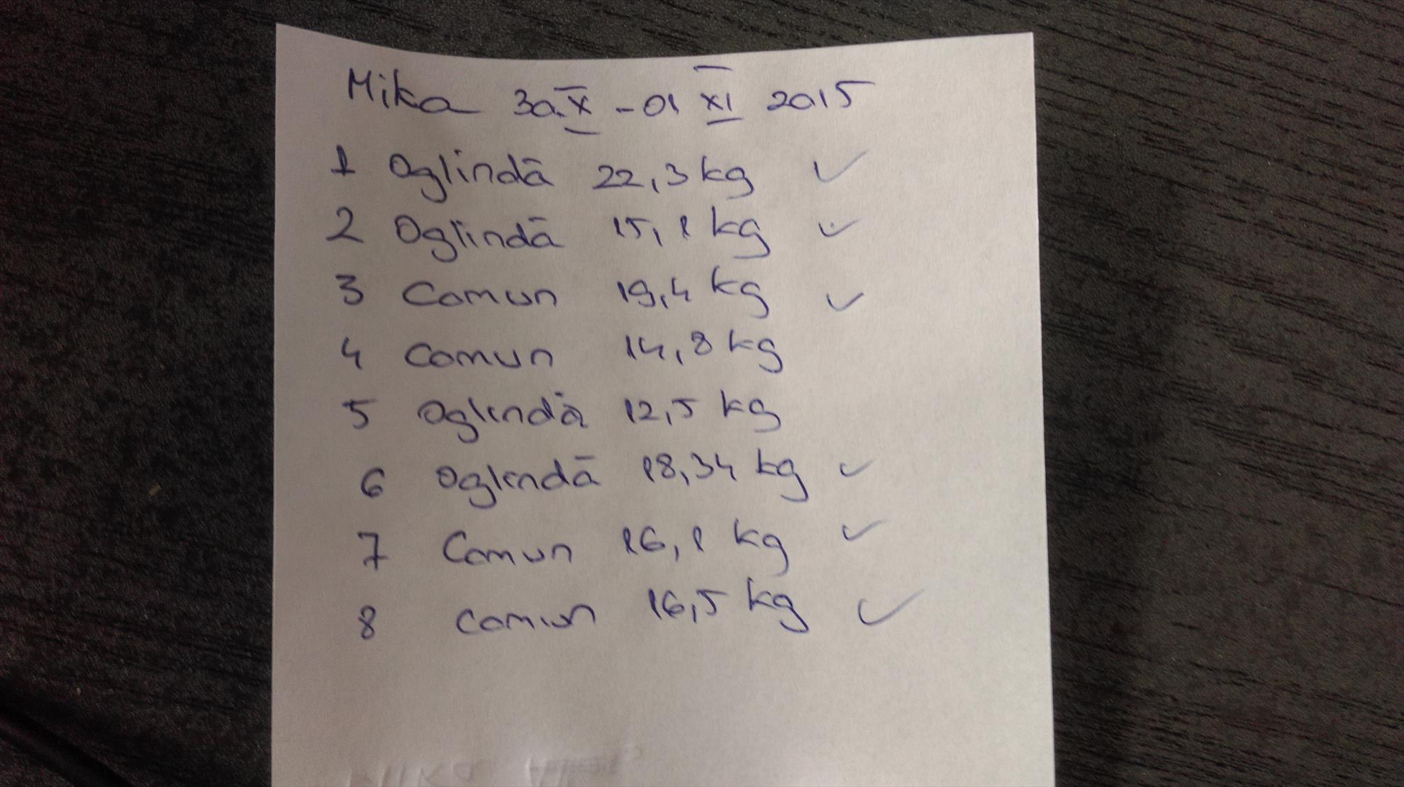 final de sezon 2015  - imag0108.jpg